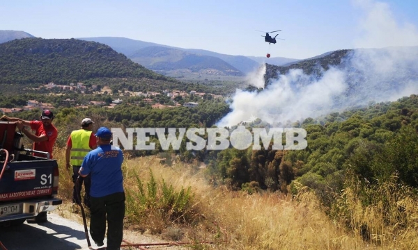 Φωτιά στις Κεχριές: Δύσκολη η μάχη με τις φλόγες - Συνεχείς οι αναζωπυρώσεις